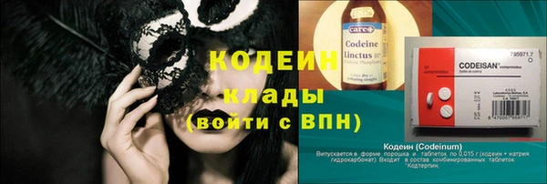 индика Вяземский