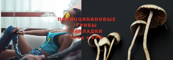 а пвп мука Медногорск