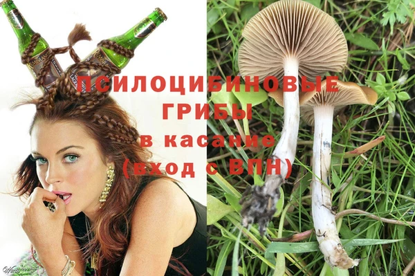 а пвп мука Медногорск