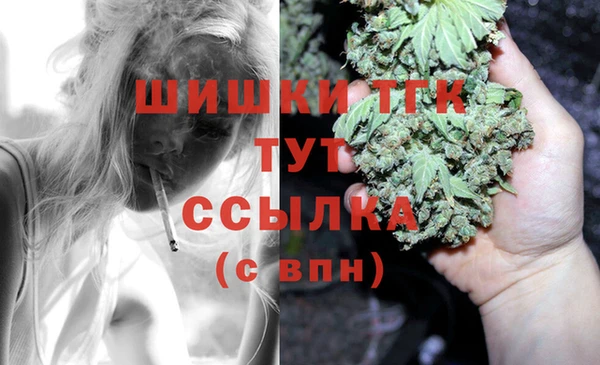 apvp Михайлов