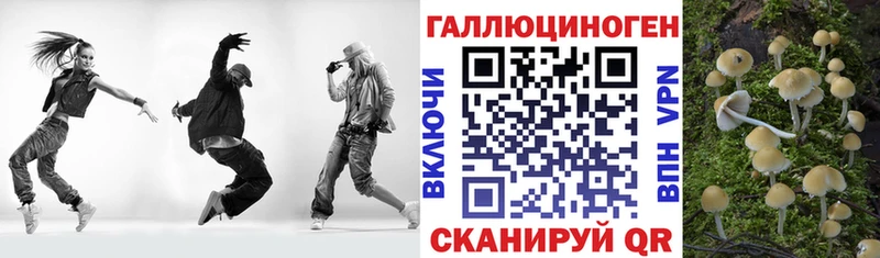 это клад  Заозёрск  Псилоцибиновые грибы Psilocybine cubensis 